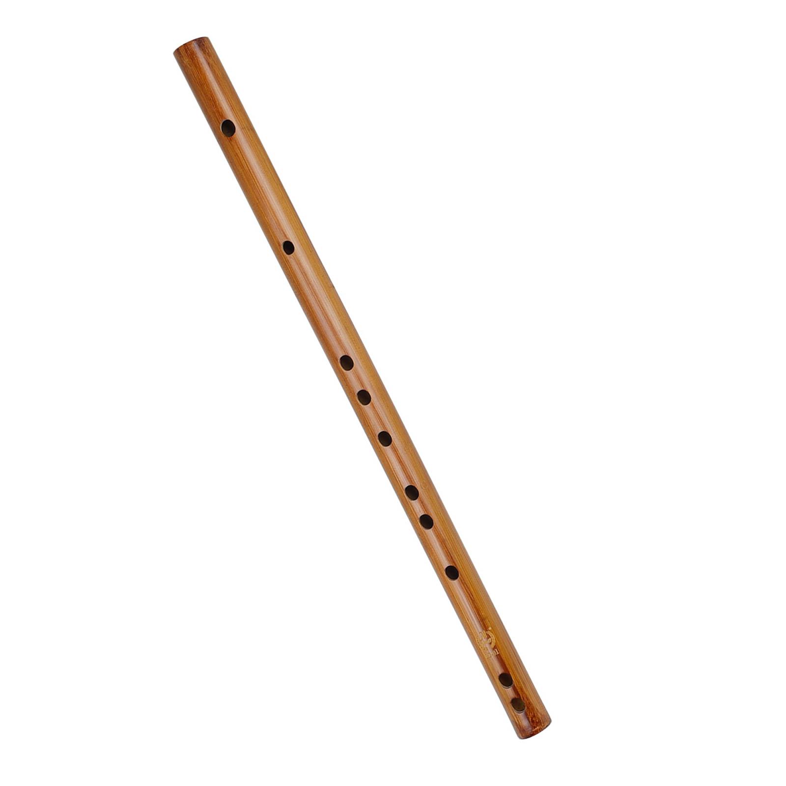 Unique Birthday Gift ,Indian W - Musical Instrument Of India ulasan dan harga