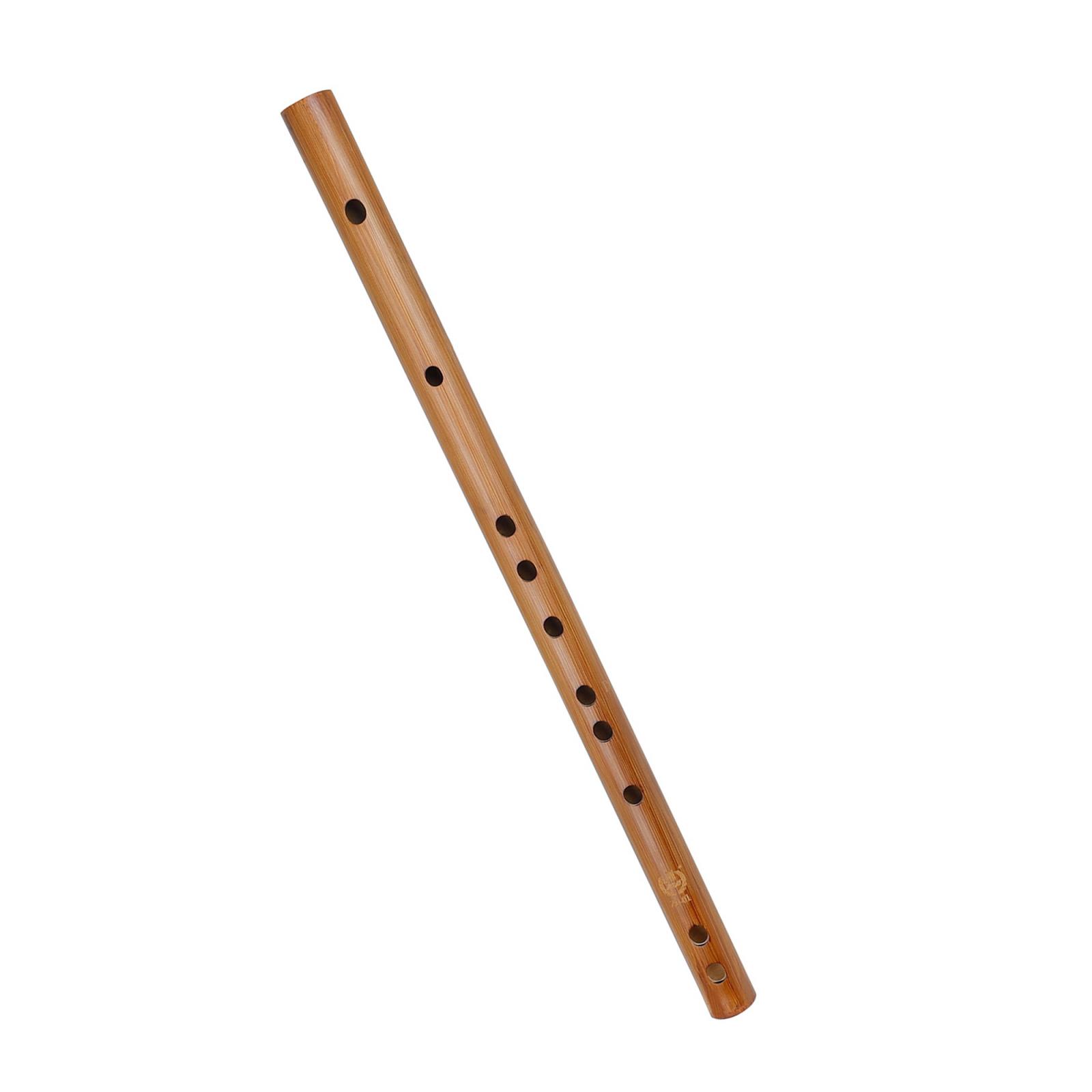 Unique Birthday Gift ,Indian W - Musical Instrument Of India ulasan dan harga