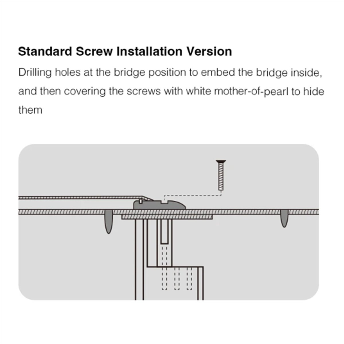 New Arrival Guitar Bridge Doct - Musical Instrument Repair ulasan dan harga